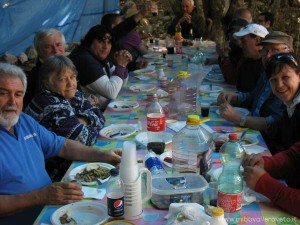 img_1373384207_507_lg
