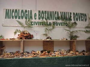 img_1385630338_646_lg