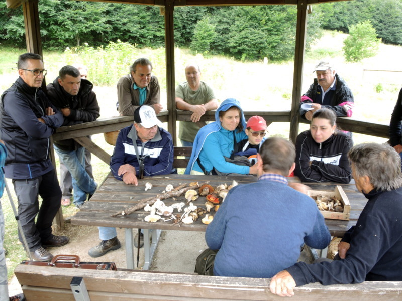 Giornata micologica nel Parco Velino-Sirente