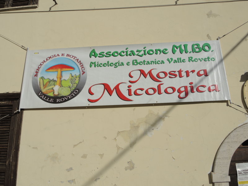 Mostra di funghi ed erbe officinali a Civitella Roveto (Aq)