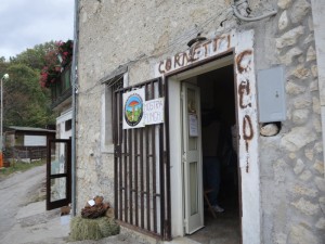 Mostra a Castelmenardo 28-29.10.2017 (18) (FILEminimizer)