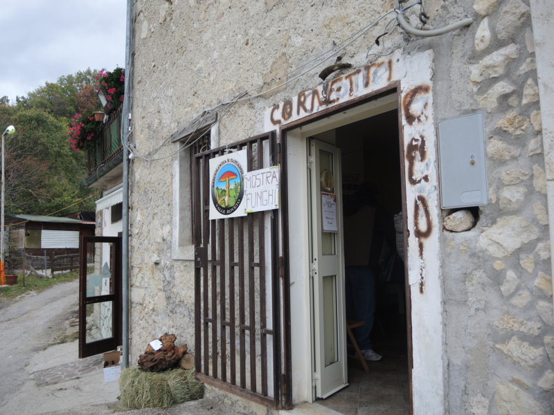Piccola bella mostra di funghi a Castelmenardo (Ri) 28 e 29 ottobre 2017