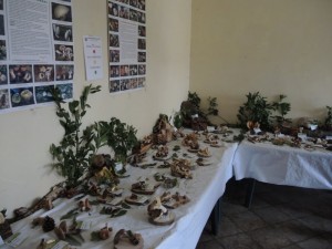 Mostra a Castelmenardo 28-29.10.2017 (4) (FILEminimizer)