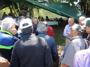 S.ELIA 08072018 (6) (FILEminimizer)