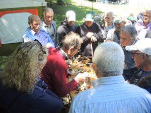 S.ELIA 08072018 (8) (FILEminimizer)