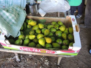 fichi paesani